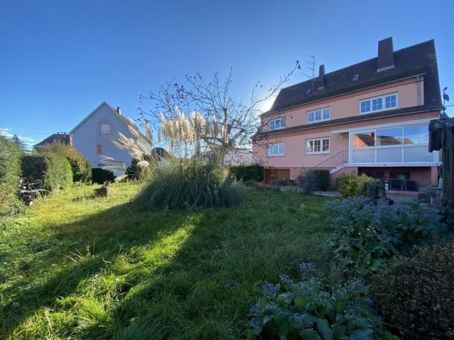 Maison, Colmar