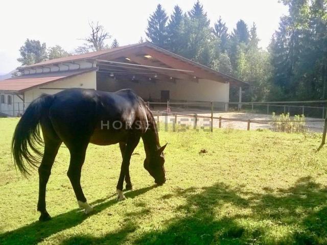 Maison, Contamine sur Arve