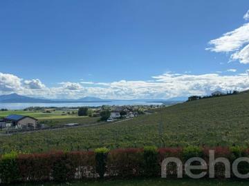 Maison contemporaine aux volumes d'exception avec vue lac et Alpes