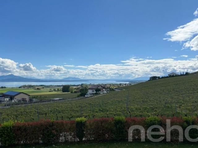 Maison contemporaine aux volumes d'exception avec vue lac et Alpes