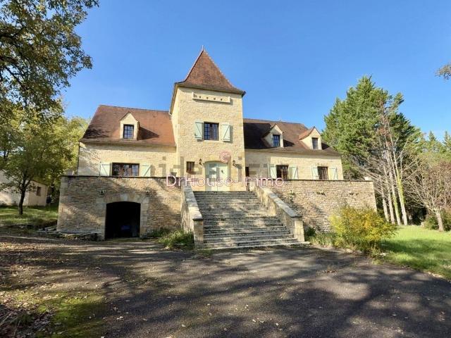 Maison, Catus