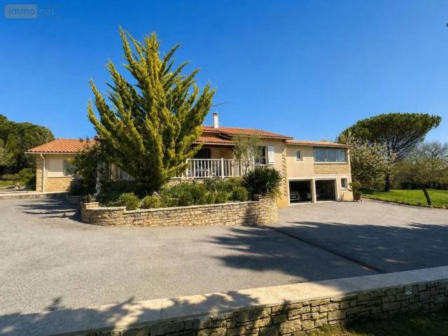 Maison, Catus