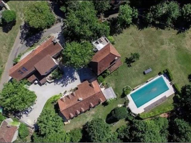 Maison, Catus