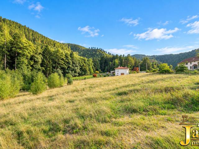 MAISON CADRE NATURE sur 4423 m2 de terrain constructible
