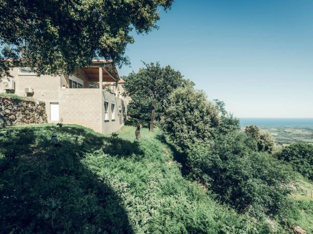 Maison, Canale di Verde