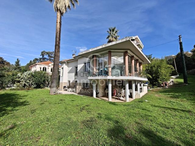 Maison, Cannes