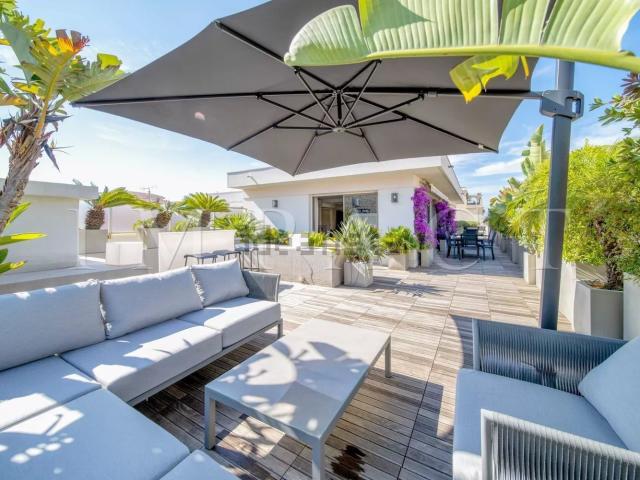 Maison, Cannes