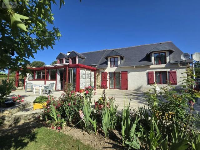 Maison, Caro