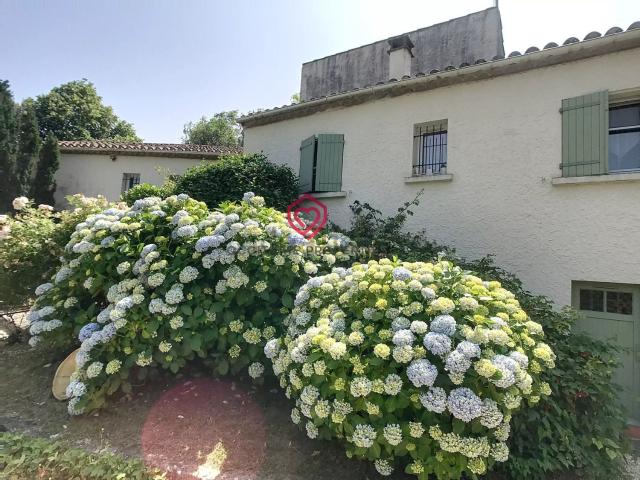Maison, Castelnaudary