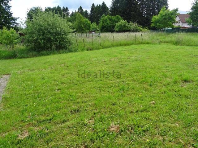 Maison, Celles sur Plaine