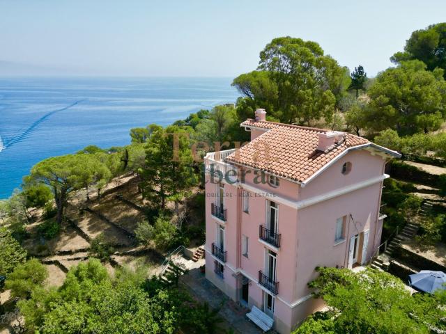 Maison, Cerbère