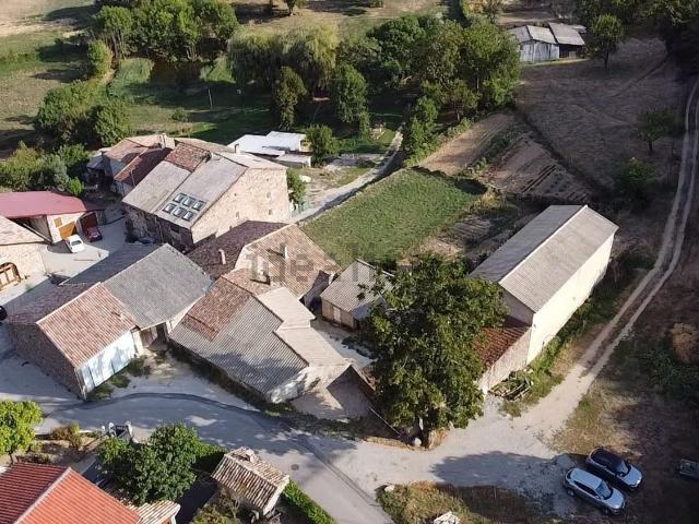 Maison, Champis