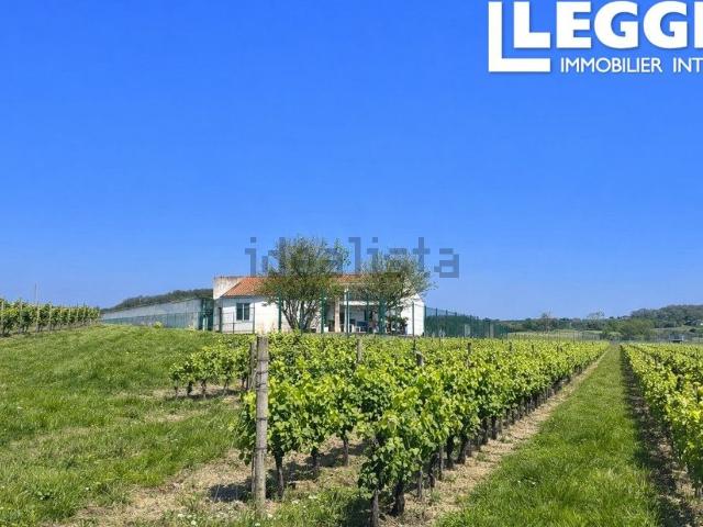 Maison, Châteauneuf sur Charente