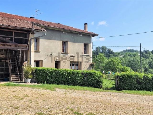 Maison, Chatte