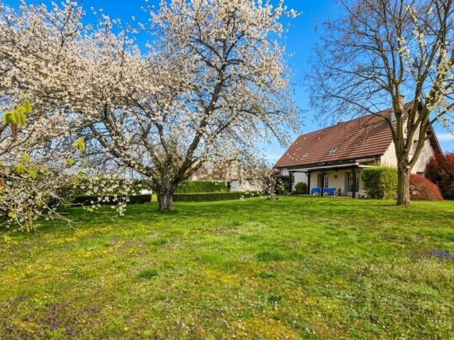 Maison, Chevigny Saint Sauveur