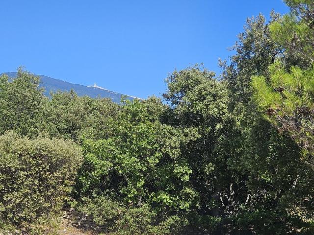 Maison, Crillon le Brave