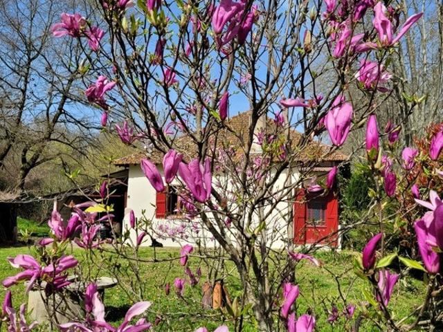Maison à vendre 3 pièces LABASTIDE D'ARMAGNAC 40
