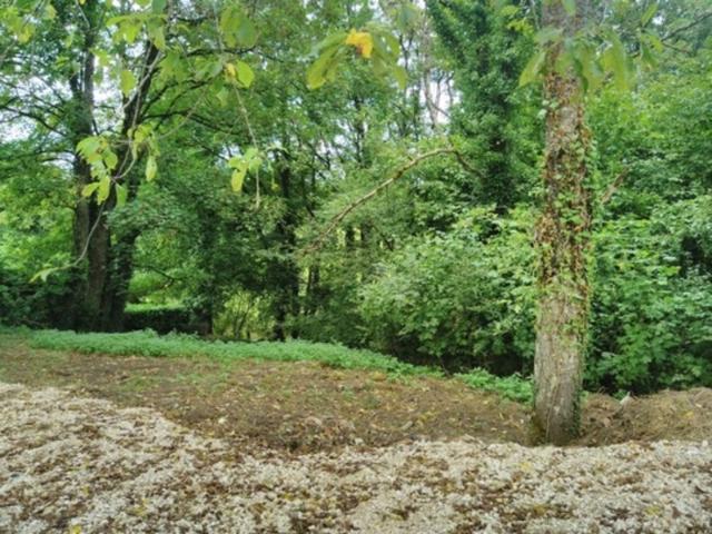 Maison à vendre 5 pièces avec un grand terrain