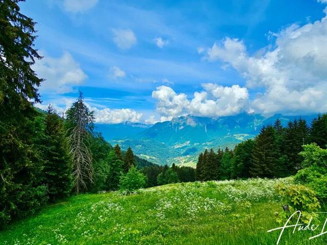 Maison à vendre 6 pièces Le Bouchet Mont Charvin 74 165m² Le bouchet mont charvin