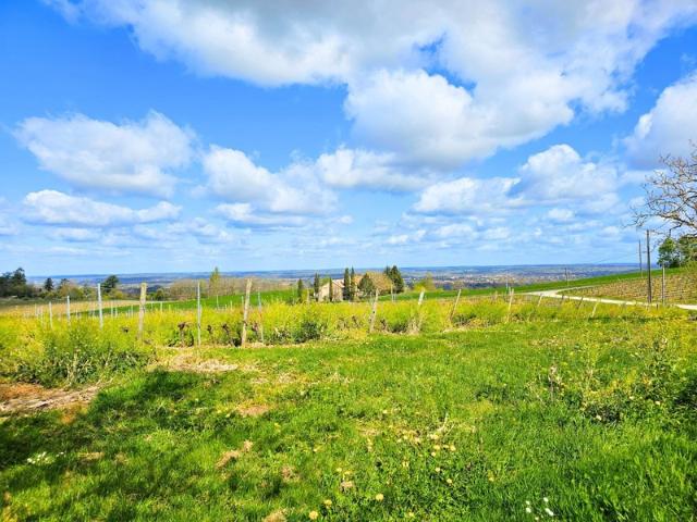 Maison à vendre 8 pièces MONBAZILLAC 24
