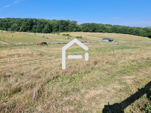 Maison à vendre à Beyssenac Référence 6897