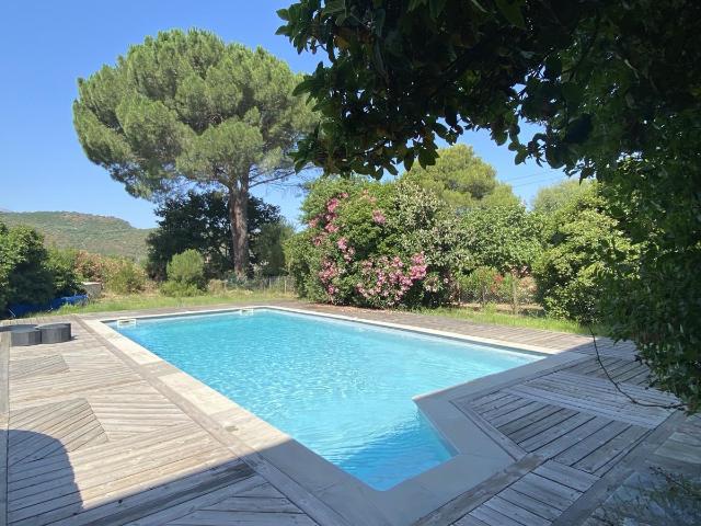 Maison à vendre à Saint Florent 20217