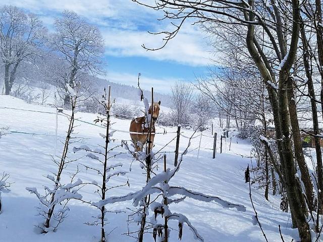 Maison à vendre, Lans en Vercors, à Lans en Vercors, France