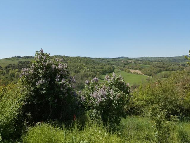 MAISON A VENDRE SAINT GERMAIN LAVAL 141 m² 5 CHAMBRES POSSIBLES CAVE JARDIN