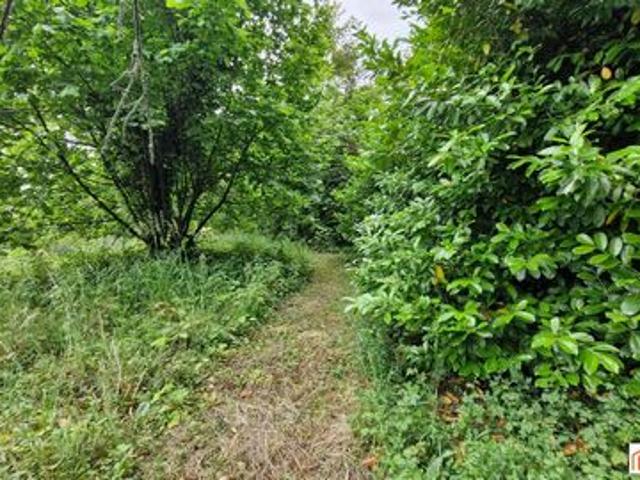 MAISON A DEMOLIR SUR TERRAIN CONSTRUCTIBLE 3000 M²