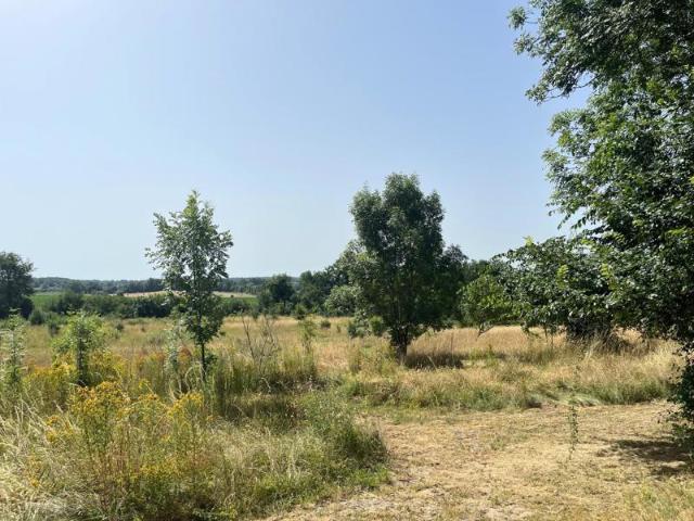 Maison à la campagne