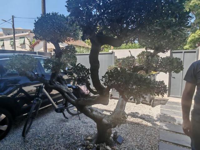 Maison à louer 4 pièces • 113,58 m2 Montpellier