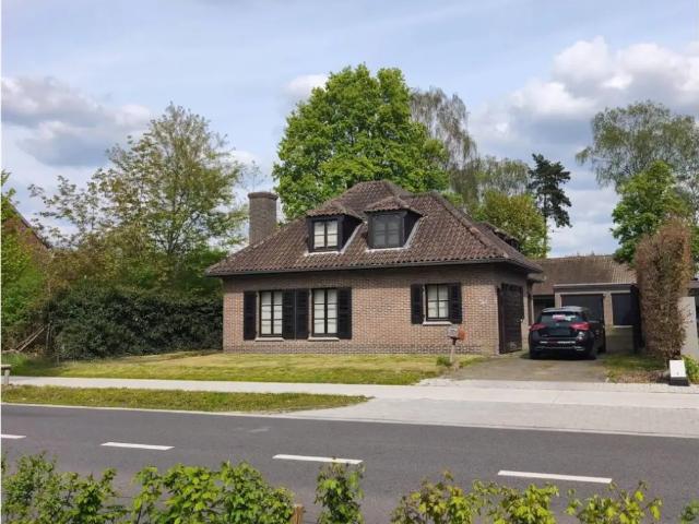 Maison à louer à Koning Albertlaan 38 Lommel