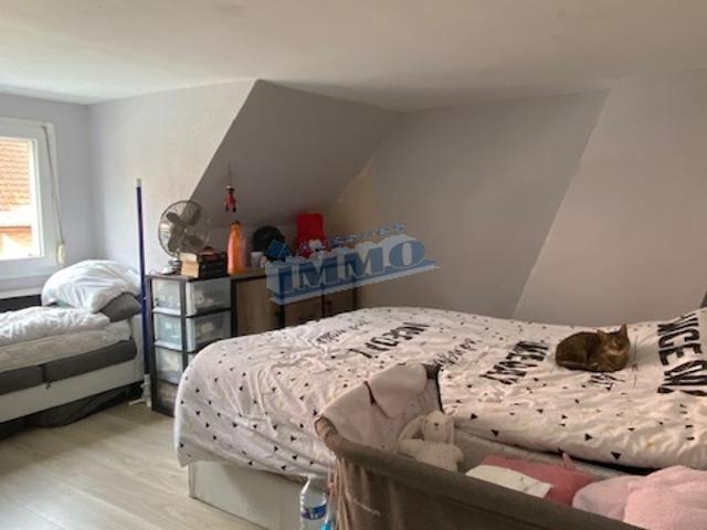 ▷ Maison à louer • Avesnes le Comte • 72 m² • 582 € | immoRegion