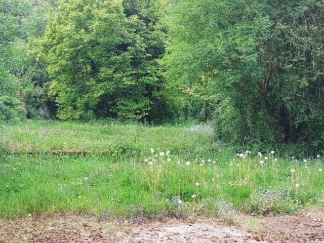 ▷ Maison à louer • Houdain • 101 m² • 800 € | immoRegion