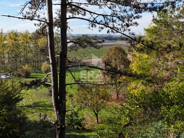 Maison à rénover au calme avec vue dégagée