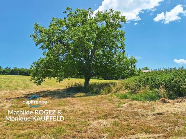 Maison à rénover avec grange en pierre, source et 7 000 m² de terrain Saint Gervais Sous Meymont 63