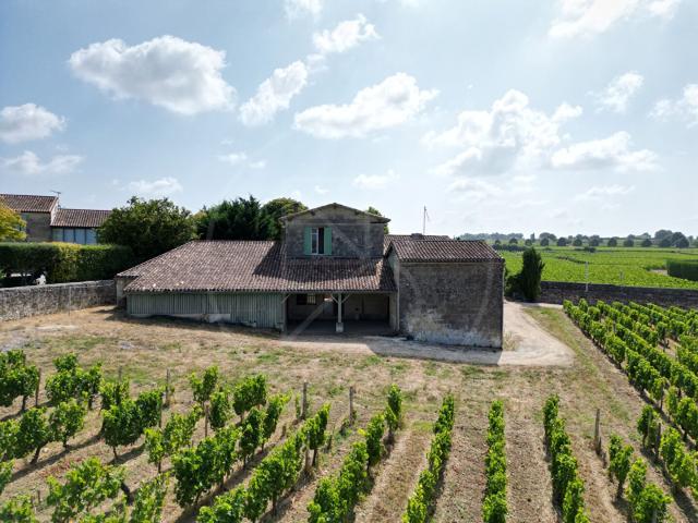 Maison à rénover avec vue sur les vignes 173m² Saint Emilion