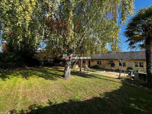 Maison, Acigné