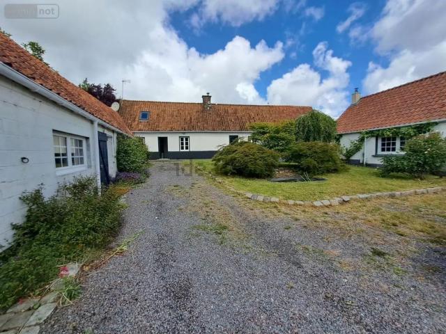 Maison, Alembon