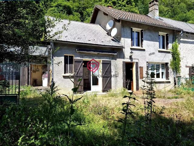 Maison, Aleu