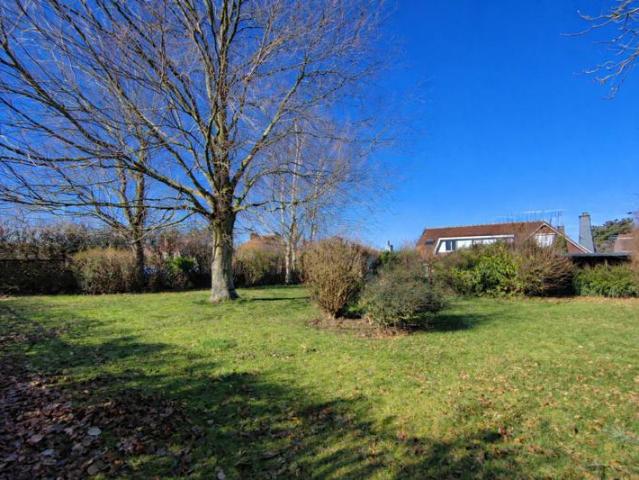 Maison Allouagne 10 pièce s 282 m2