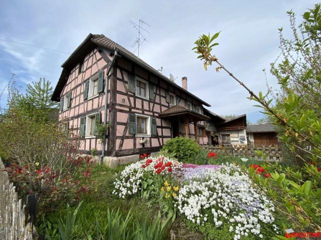Découvrez votre Futur Projet: Maison Alsacienne à Rénover sur 14 Ares !