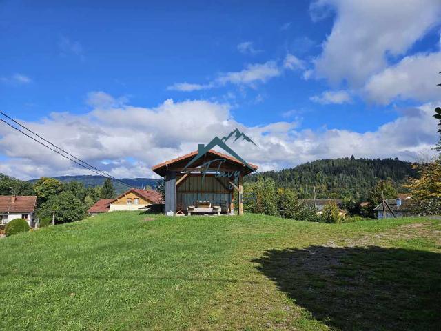 Maison + Appartement sur plus d'1hectare entièrement constructible! Vagney