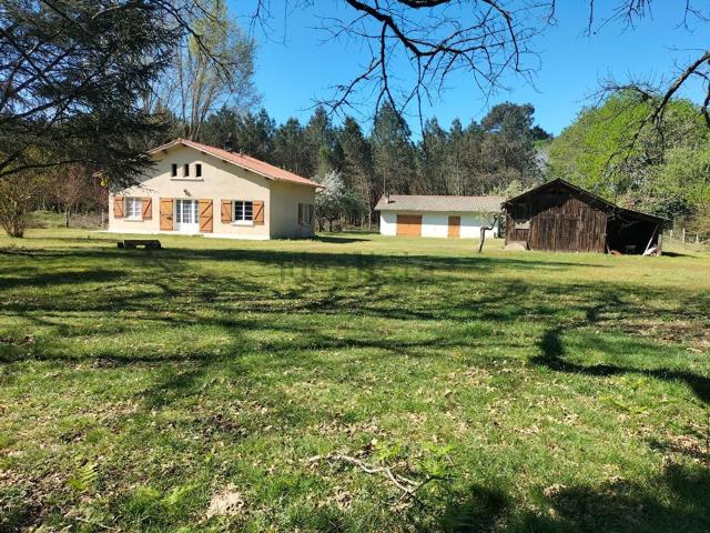 Maison, Arue
