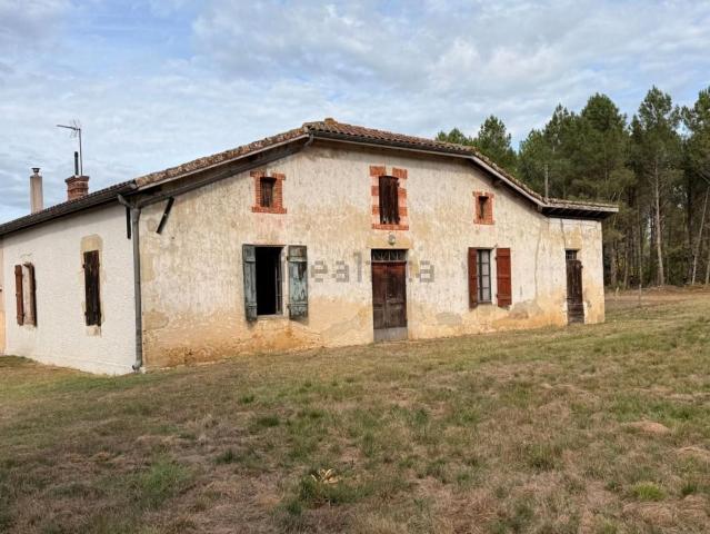 Maison, Arue