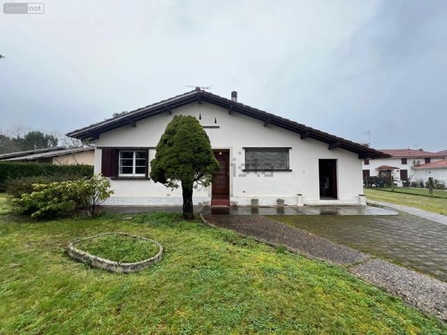 Maison, Arengosse