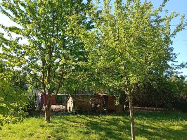 Maison Pierre Atypique Terrain 2594 m² Entre Hericourt Ville. 191m² Villers La Ville