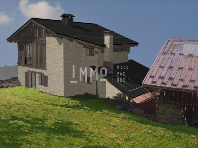 Maison aux pieds des pistes