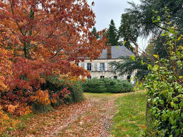 Maison, Aubigny sur Nère
