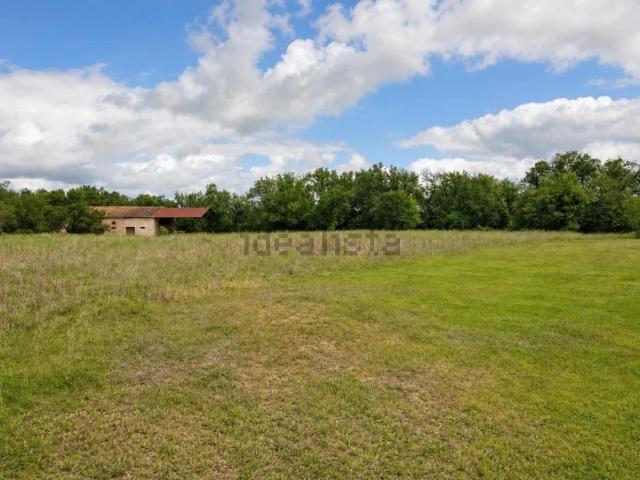 Maison, Auriac sur Vendinelle